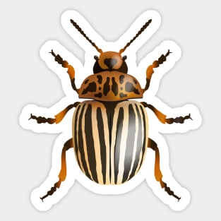 Beetle Sticker